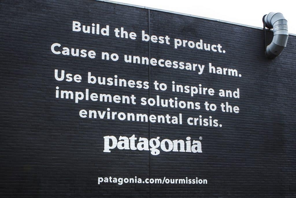 patagonia branding purpose
