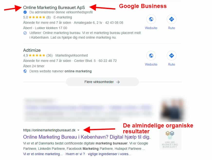 lokal seo organiske resultater screenshot